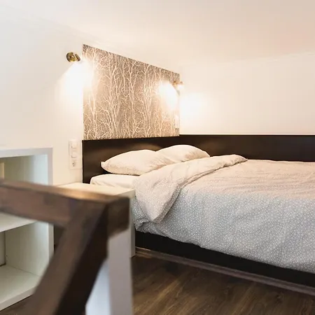 Charming Budget Lofts In The Centre Apartment